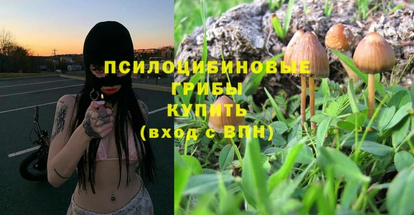 гидропоника Алексеевка