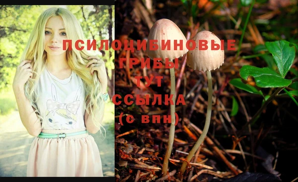 не бодяженный Абдулино
