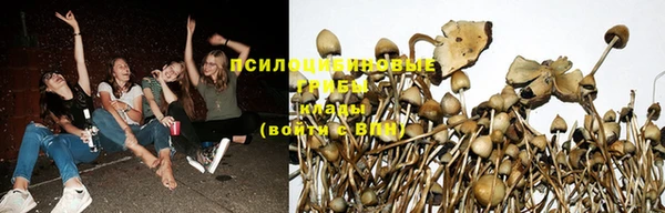 PSILOCYBIN Алексин