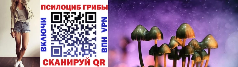 Псилоцибиновые грибы MAGIC MUSHROOMS  OMG ТОР  Тотьма 